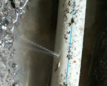 牙克石卫生间测漏水多少钱